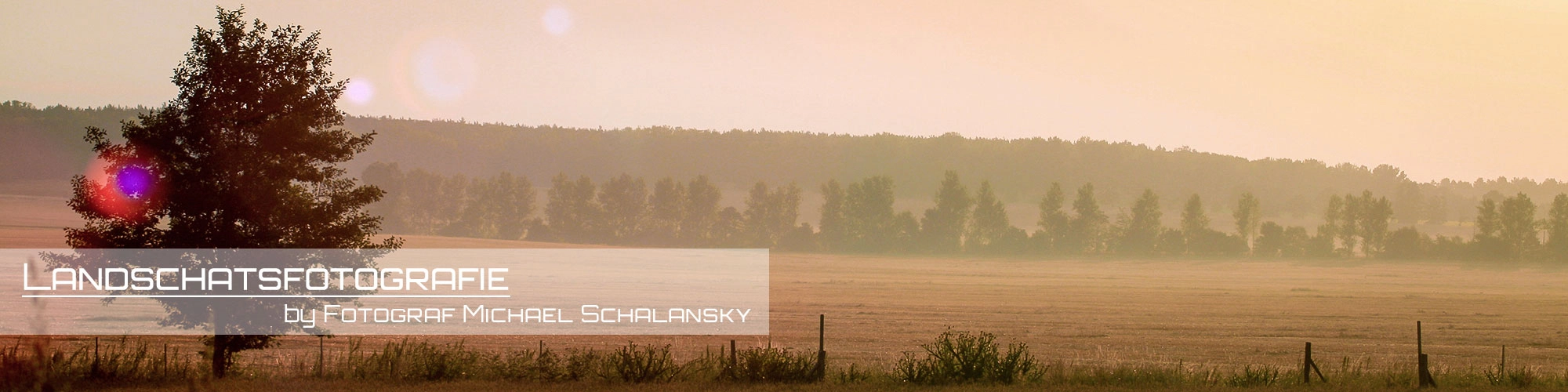 Landschaftsfoto Gotha: Goldene Morgenstimmung über Feldern von Fotograf Michael Schalansky Stimmungsvolle Landschaftsaufnahme in Gotha: Ein einzelner, dunkler Baum steht auf einem goldgelben Feld. Im Hintergrund erstreckt sich ein bewaldeter Hügelzug, alles getaucht in das warme, diffuse Licht eines Sonnenaufgangs oder Sonnenuntergangs.